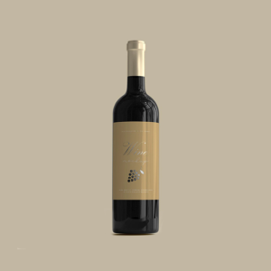 Consectetur Adipiscing Elit